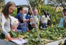 Agricultores familiares conhecem alternativas sustentáveis de renda